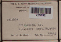 Image Associated With the Occurence